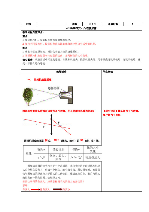科学探究：凸透镜成像教案  教科版物理八年级上册