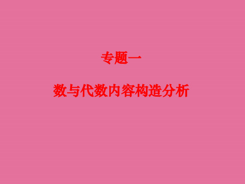 专题一数与代数内容结构分析PPT课件