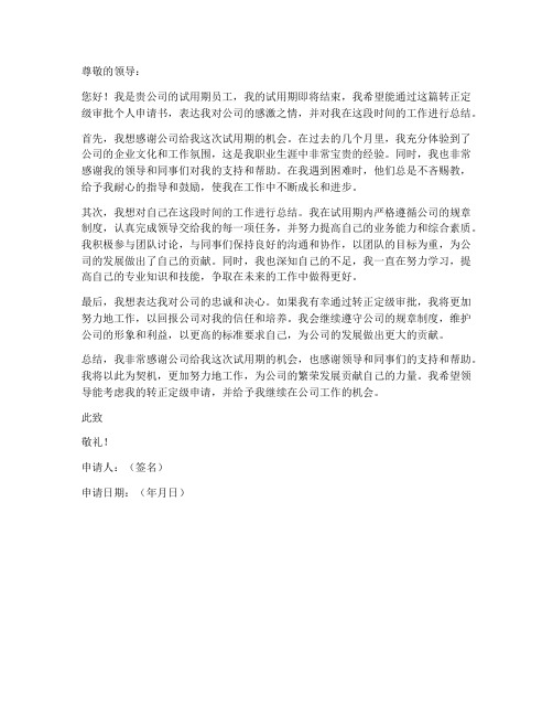 转正定级审批个人申请书