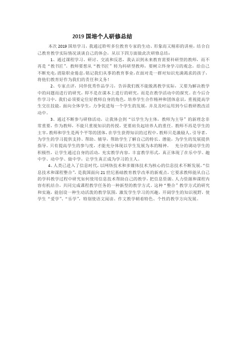 2019国培个人研修总结