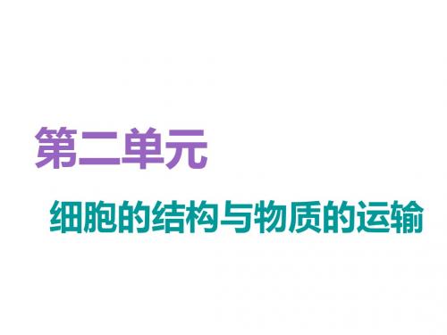 2019届 一轮复习人教版 细胞膜与细胞核(含生物膜的流动镶嵌模型) 课件