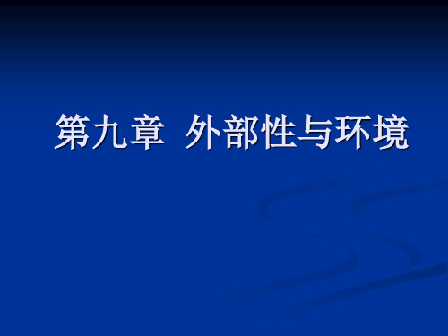 9外部性与环境