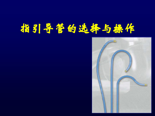 指引导管的选择完整版