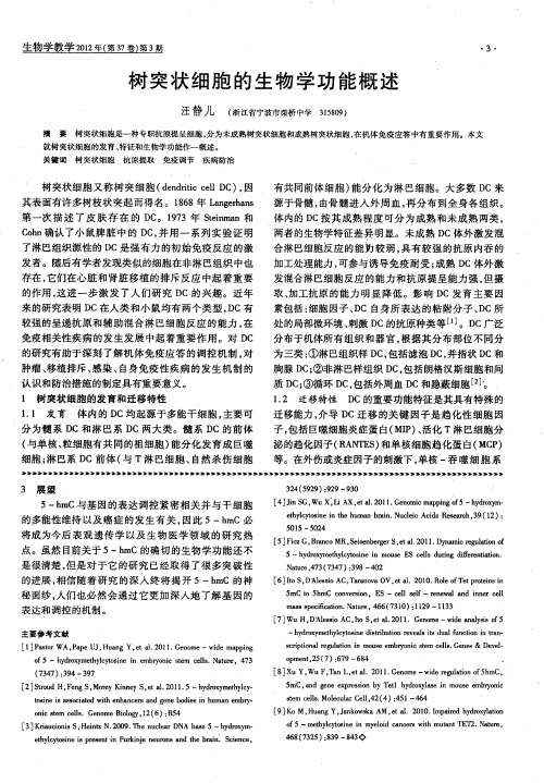 树突状细胞的生物学功能概述