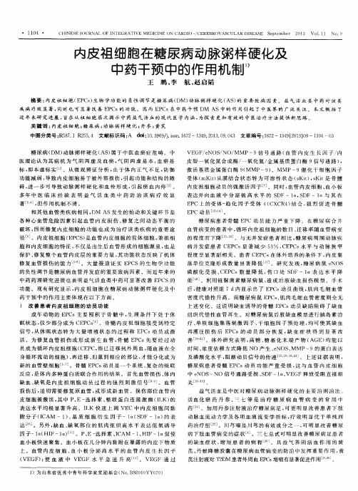 内皮祖细胞在糖尿病动脉粥样硬化及中药干预中的作用机制