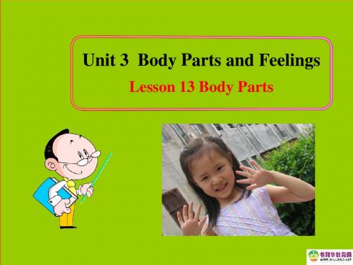 七年级英语上册 Unit 3 Body Parts and Feelings Lesson 13 Body Parts课件 (新版)冀教版