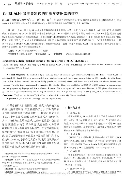 C_57_BL_6J小鼠主要器官的组织学数据库的建立