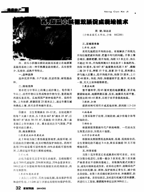 西、甜瓜小拱棚双膜促成栽培技术