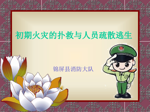 初期火灾的扑救与人员疏散逃生概要