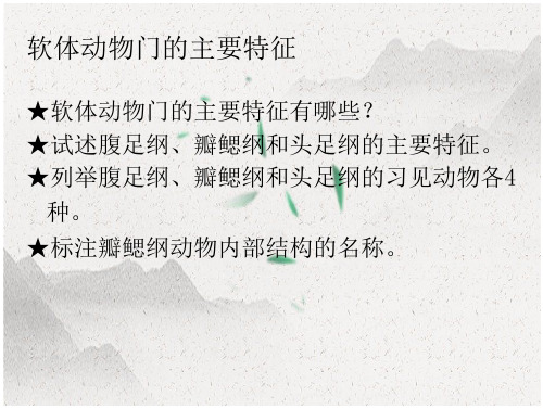 软体动物门的主要特征