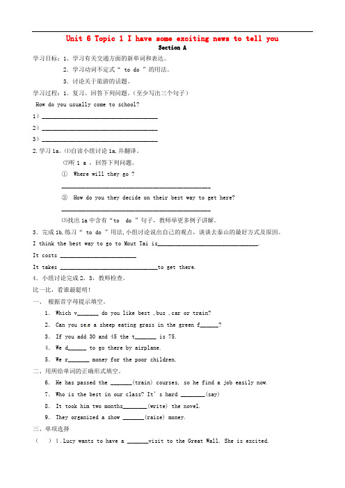 河南省淮滨县第二中学八年级英语下册《Unit 6 Topic 1 I have some excit