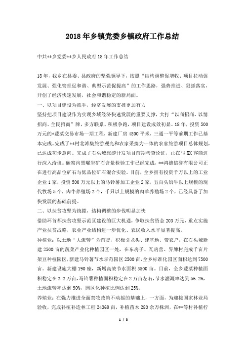 乡镇党委乡镇政府工作总结