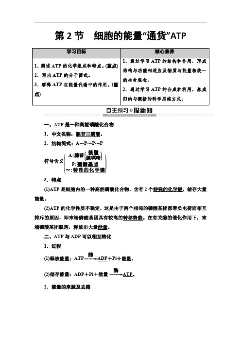2019-2020同步新教材人教生物必修一讲义：第5章 第2节 细胞的能量“货币”ATP Word版含答案.pdf
