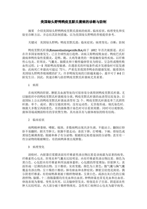 美国绿头野鸭鸭疫里默氏菌病的诊断与防制