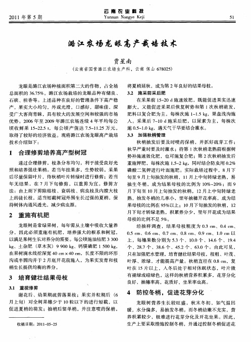潞江农场龙眼高产栽培技术