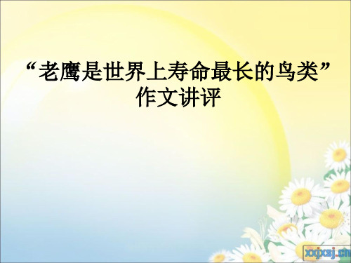 “老鹰是世界上寿命最长的鸟类”作文讲评课件解析