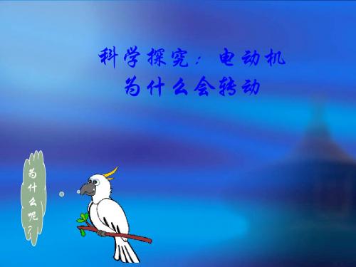 沪科版九年级物理《16.3 电动机为什么会转动》课件2