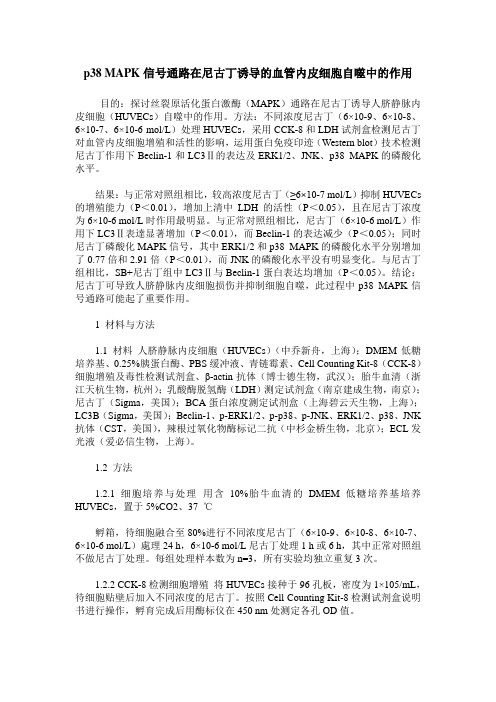 p38 MAPK信号通路在尼古丁诱导的血管内皮细胞自噬中的作用