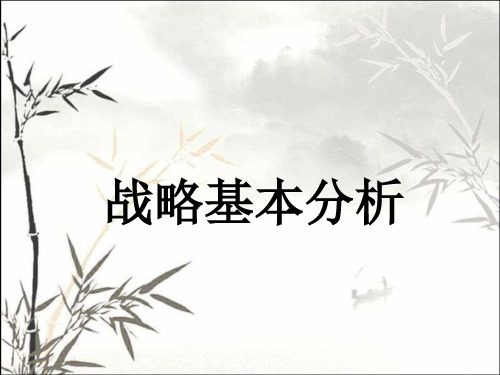 公司战略分析工具 PPT
