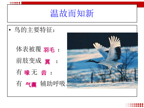 第二节 陆地生活的动物