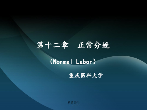 精品--分娩生理