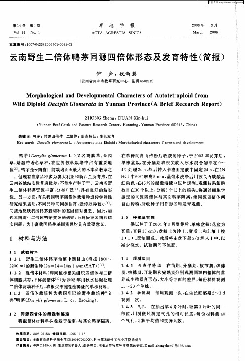 云南野生二倍体鸭茅同源四倍体形态及发育特性(简报)