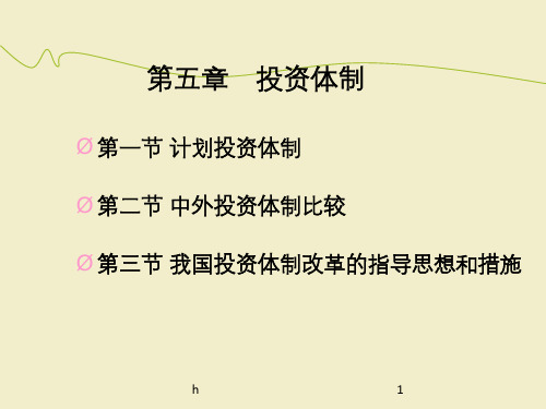 投资经济学第5章  投资体制