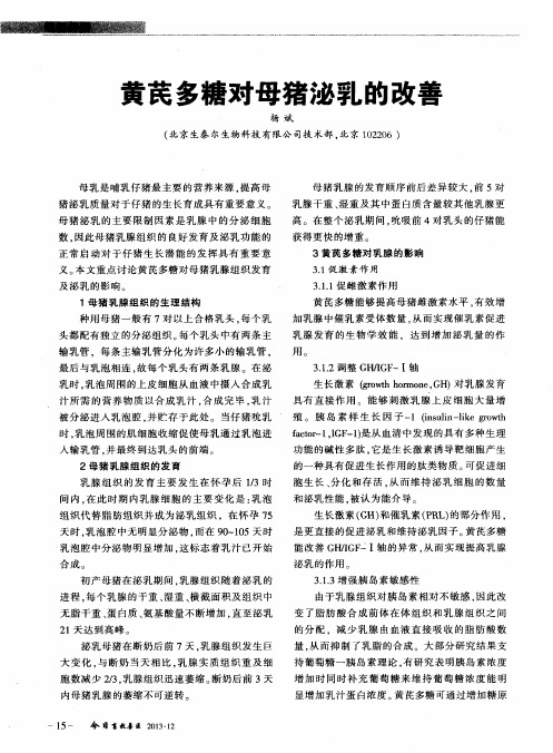 黄芪多糖对母猪泌乳的改善