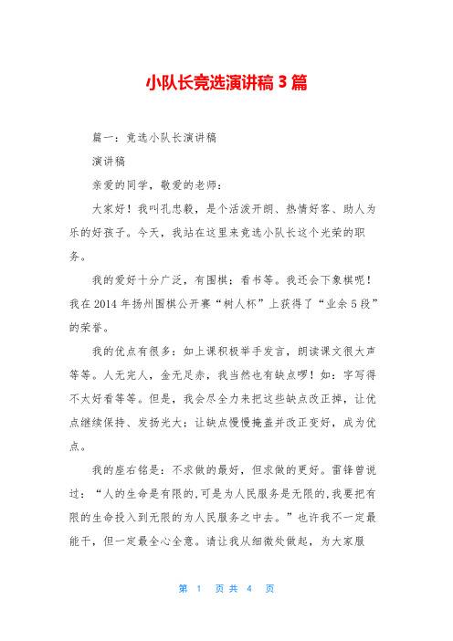 小队长竞选演讲稿3篇