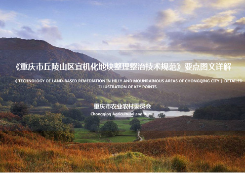 重庆市丘陵山区宜机化地块整理整治技术规范要点图文详解(1)
