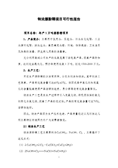 漂粉精项目可行性报告