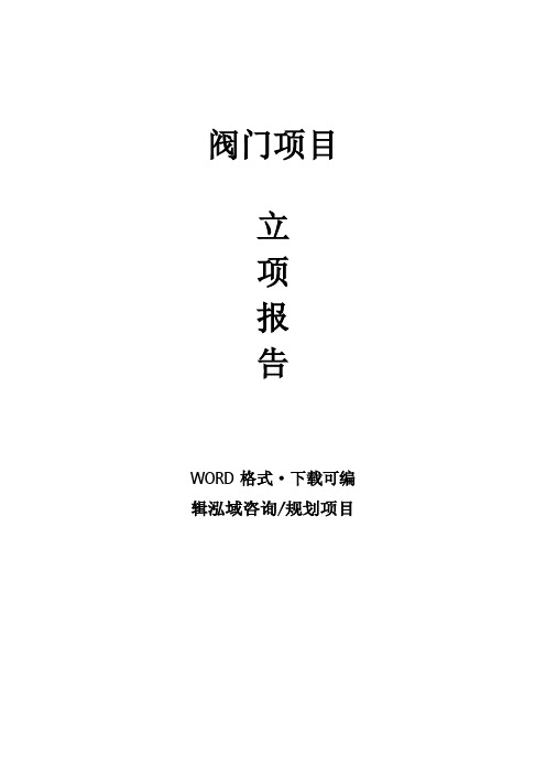 阀门项目立项报告