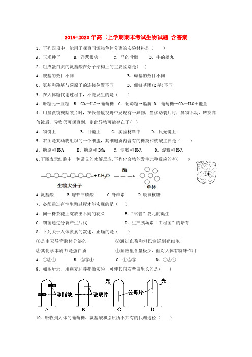 2019-2020年高二上学期期末考试生物试题 含答案