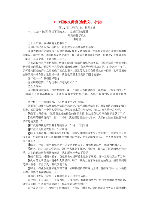 2019年中考语文 第四部分 现代文阅读(一)记叙文阅读(含散文、小说)专题练习