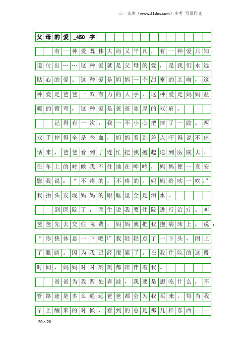 小考写景作文：父母的爱_450字