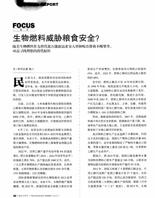 生物燃料威胁粮食安全？