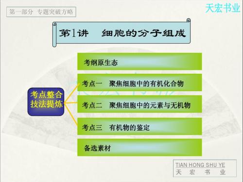 高三生物电子教案