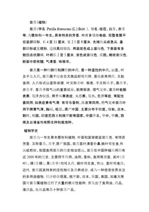 紫苏油的功效与作用