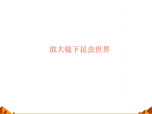 放大镜下的昆虫世界_课件
