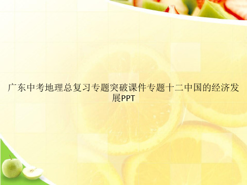 广东中考地理总复习专题突破课件专题十二中国的经济发展PPTppt文档