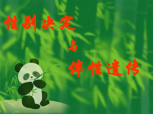 性别决定与伴性遗传人教版(精)