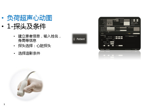 心脏负荷超声简要操作步骤
