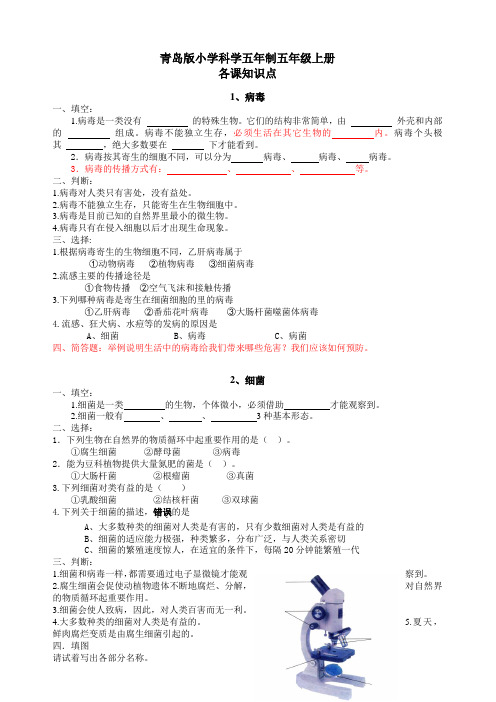 青岛版小学科学五年级上册各课知识点