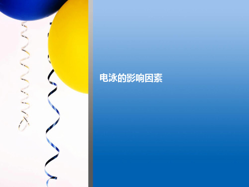 电泳技术的影响因素