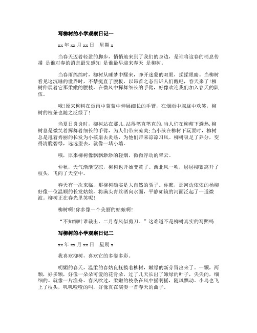 写柳树的小学观察日记4篇