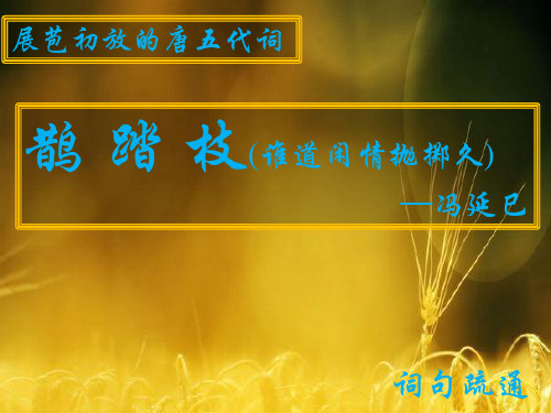 鹊踏枝词句疏通资料