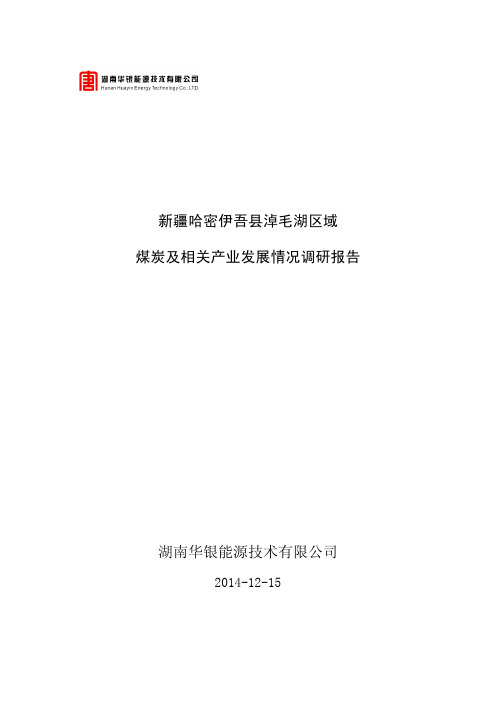 新疆哈密伊吾淖毛湖区域煤炭资源及相关产业发展情况调研报告(单鸿)