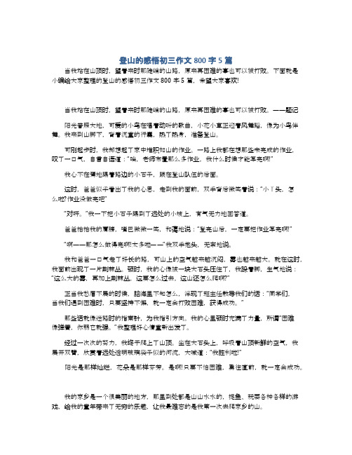 登山的感悟初三作文800字5篇