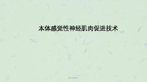 PNF技术ppt课件