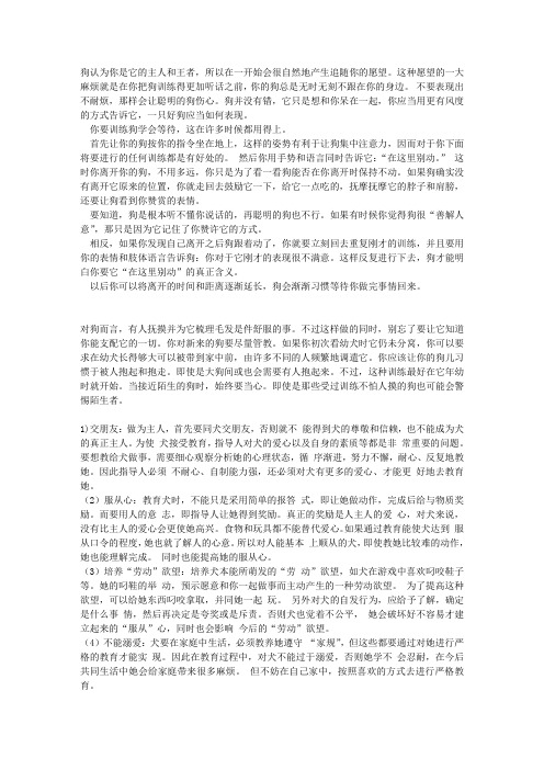 狗认为你是它的主人和王者
